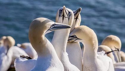 世界杯直播官方平台-安踏成为希腊奥委会战略合作伙伴